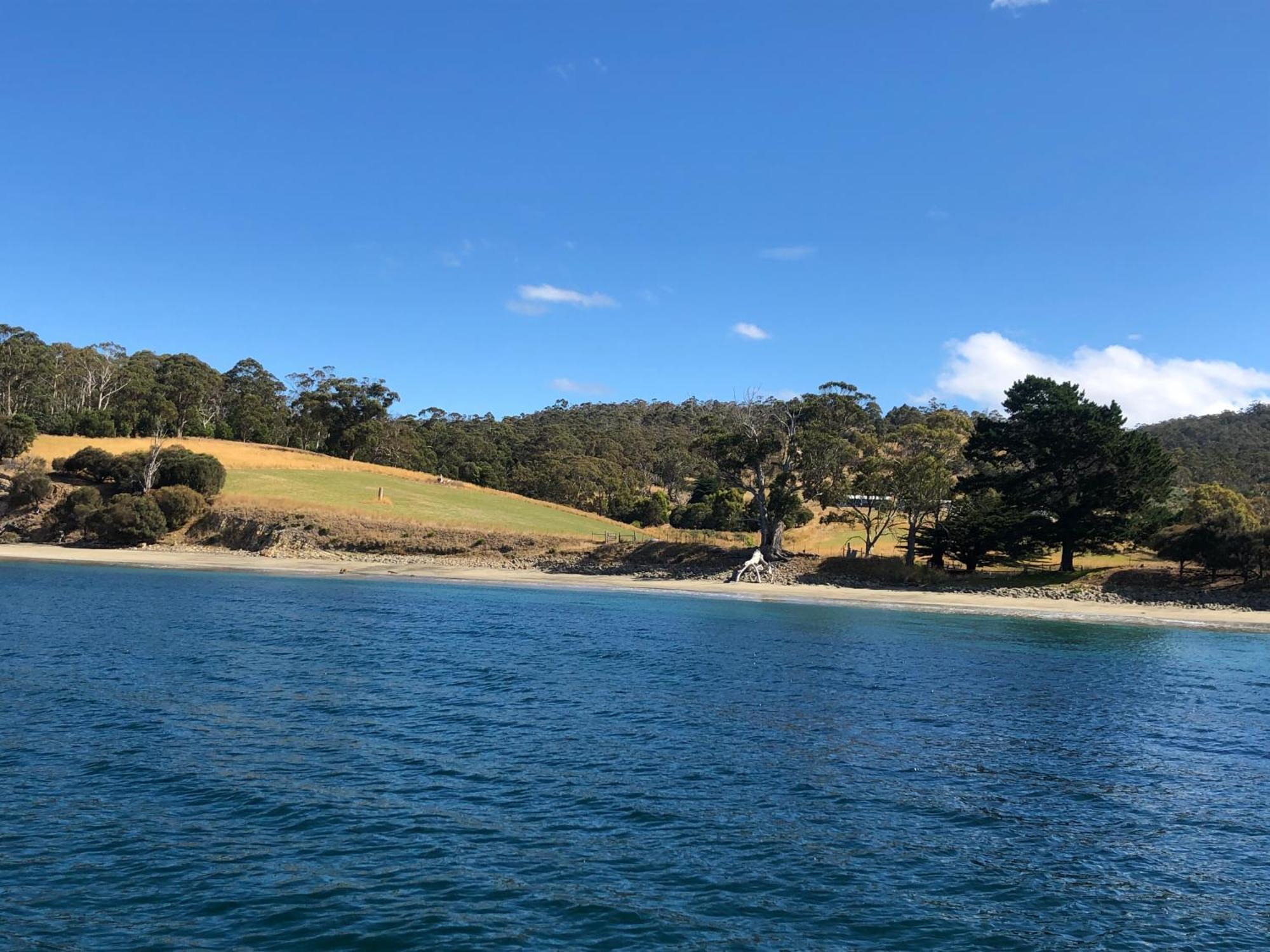 The Woolshed And Farmhouse Blue, Bruny Island Barnes Bay Exterior foto